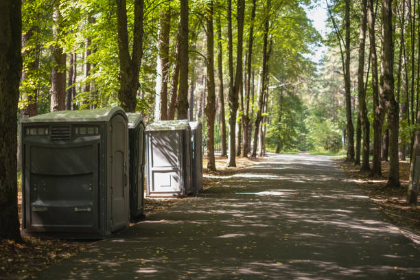 Best Local porta potty services  in Paola, KS